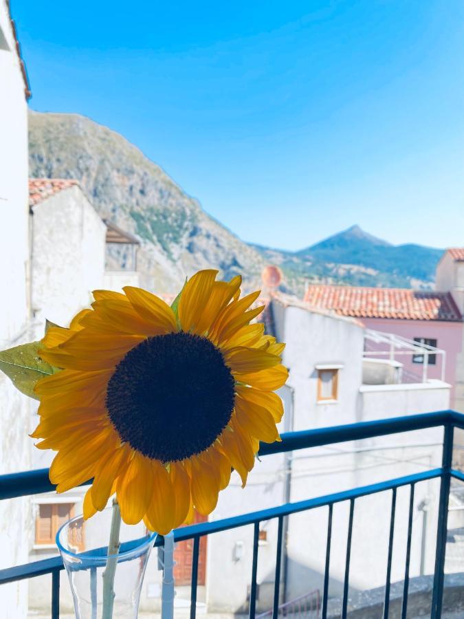 A Punta Terra Isnello Bed & Breakfast Dış mekan fotoğraf